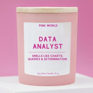 Data Analyst Gift Candle Funny Thank You Gift Box For Software Engineer Christmas and Birthday Gift