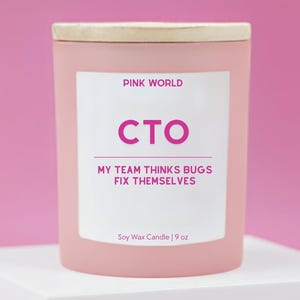 CTO Gift for Computer Programmer Gift Candle Funny Thank You Gift Box For Software Engineer Christmas and Birthday Gift