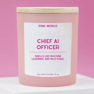 Chief AI Officer Gift For CTO Gift for Computer Programmer Gift Candle Funny Thank You Gift Box For Software Engineer Christmas and Birthday
