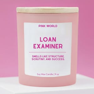 Loan Examiner Candle Funny Thank You Gift Box For Mortgage Broker Christmas and Birthday Gift