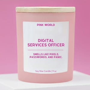 Digital Services Officer CTO Gift for Computer Programmer Gift Candle Funny Thank You Gift Box For Software Engineer Christmas and Birthday