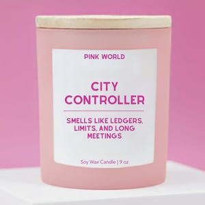 City Controller Gift For Auditor Gift for Forensic Accountant Candle Funny Thank You Gift Box For Christmas and Birthday Gift