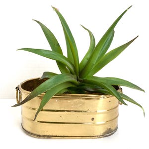 Vintage Brass Planter Oval Small