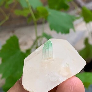 Extremely rare specimen tourmaline grown on polucite