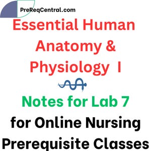 Puede incluir: Fondo blanco con texto: PreReqCentral.com, Essential Human Anatomy & Physiology I, Notes for Lab 7, for Online Nursing Prerequisite Classes. El texto es rojo, verde y negro.