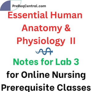May include: White background with text: "PreReqCentral.com", "Essential Human Anatomy & Physiology II", "Notes for Lab 3", "for Online Nursing Prerequisite Classes". A blue and white graphic is at the top left.