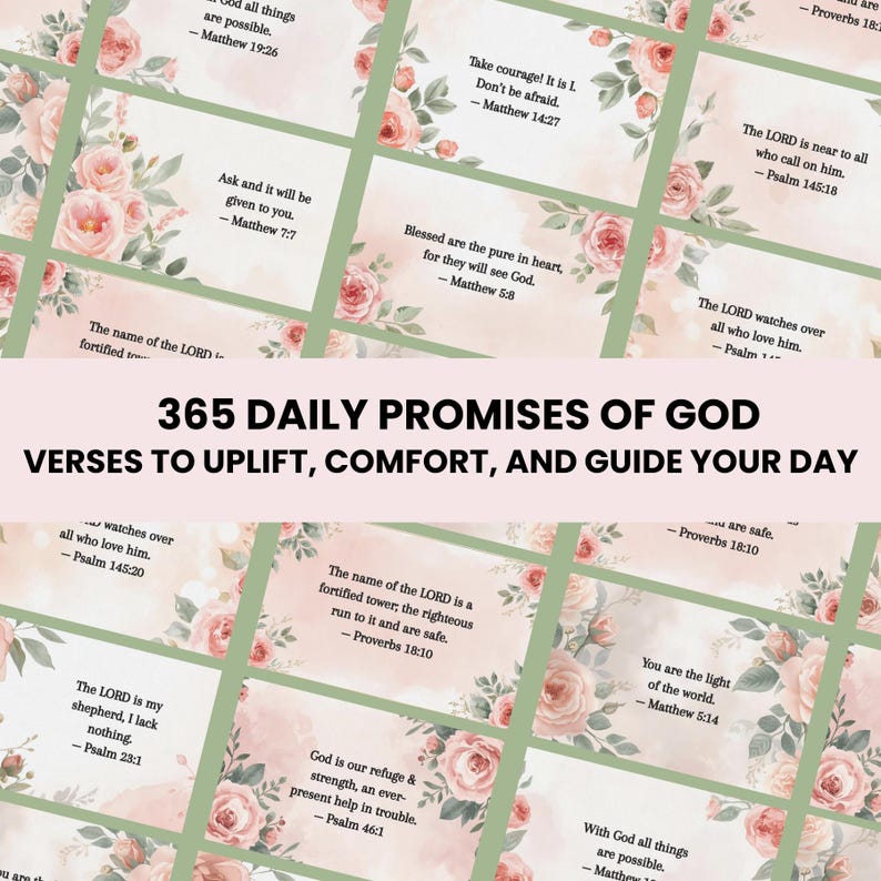 365 Daily Bible Verse Cards: Christian Scripture, Inspirational Gift ...