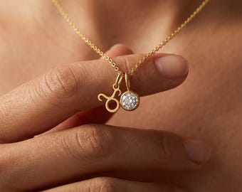 Personalized 12 Constellation Jewelry, Zodiac Necklace with Birthstone, Dainty Celestial Charm, Birthday Gift for Women, Adjustable Length