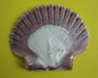 Sea Shell Seashells 3" Mexican Flat Shell