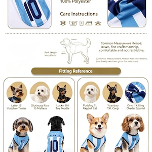 Puede incluir: Una camiseta de f&uacute;tbol para mascotas con la palabra "ARGENTINA" y el n&uacute;mero "10" en la espalda. La camiseta es azul claro y blanca, hecha de 100% poli&eacute;ster. La imagen tambi&eacute;n muestra varias razas de perros usando la camiseta.