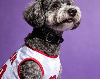 Maglia da calcio per cani USA fatta a mano – Abbigliamento per animali domestici per la Coppa del Mondo 2026 – Maglia da calcio per cani rossa, bianca e blu – Kit per cani in rete traspirante – Regalo per gli Stati Uniti