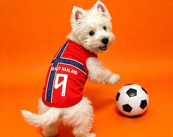 Premium handgemaakte Noorse voetbalshirt hondenvoetbal – WK 2026 kleding, ademende voetbaltenue, nieuwste ontwerp, hondenshirts
