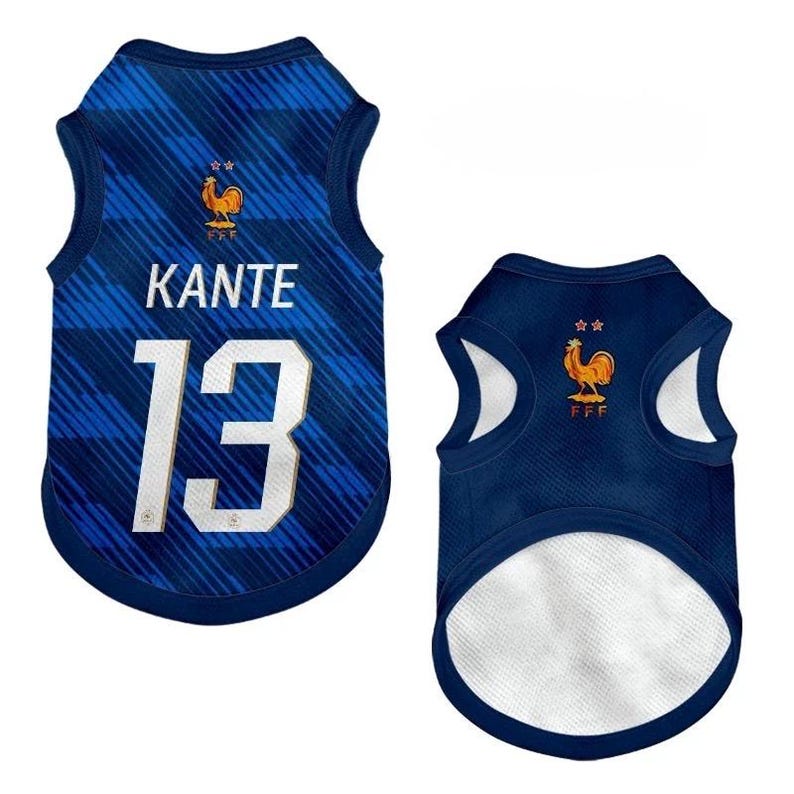 Premium Handmade France Dog Soccer Jersey – 2026 World Cup Apparel, Breathable Football Kit, Newest design, Dog Jerseys image 17