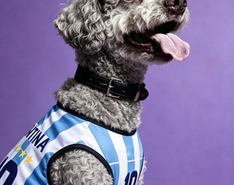 Maglia da calcio per cani dell'Argentina - Abbigliamento per i Mondiali 2026, strisce blu e bianche, kit da calcio traspirante