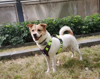 Arnés personalizado para perros que no tira / Nylon resistente, ajustable