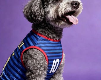 Maglia da calcio per cani della Francia – Kit sportivo traspirante per animali domestici (Numero 10)