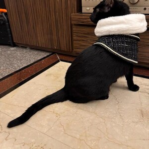 May include: A black cat wearing a black and white tweed vest with a white faux fur collar. The cat is sitting on a marble tile floor. The vest has a white trim.
