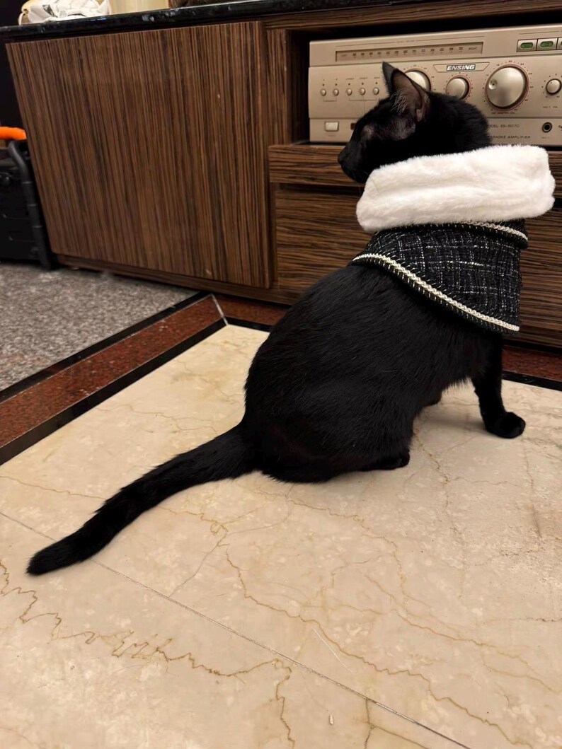 May include: A black cat wearing a black and white tweed vest with a white faux fur collar. The cat is sitting on a marble tile floor. The vest has a white trim.