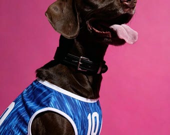 Maglia da calcio per cani giapponese fatta a mano – Abbigliamento per animali domestici per la Coppa del Mondo 2026 – Maglia da calcio per cani Samurai blu – Kit per cani in rete traspirante – Regalo per i tifosi