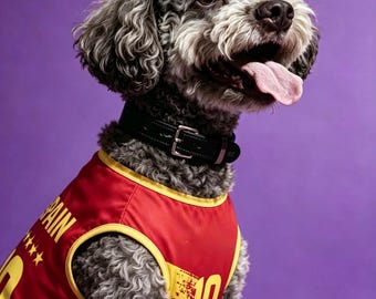 Maglia da calcio per cani della Spagna fatta a mano – Abbigliamento per animali domestici per i Mondiali 2026 – Maglia da calcio per cani rossa e gialla – Kit per cani in rete traspirante – Regalo per la Spagna