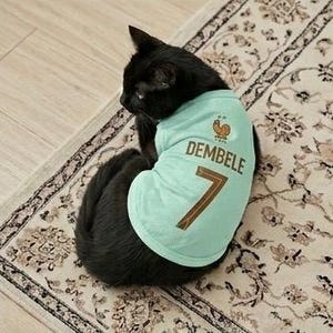 Premium Handmade France Dog Soccer Jersey – 2026 World Cup Apparel, Breathable Football Kit, Newest design, Dog Jerseys image 4