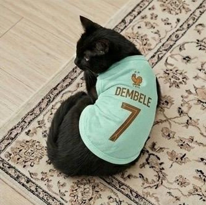 Premium Handmade France Dog Soccer Jersey – 2026 World Cup Apparel, Breathable Football Kit, Newest design, Dog Jerseys image 4