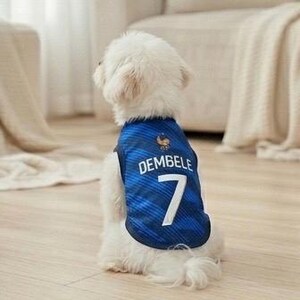 Premium Handmade France Dog Soccer Jersey – 2026 World Cup Apparel, Breathable Football Kit, Newest design, Dog Jerseys image 2