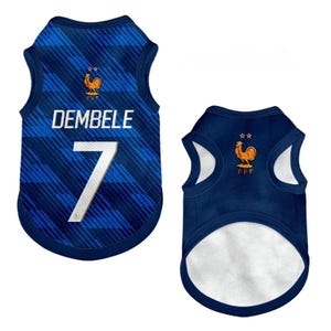 Premium Handmade France Dog Soccer Jersey – 2026 World Cup Apparel, Breathable Football Kit, Newest design, Dog Jerseys image 9