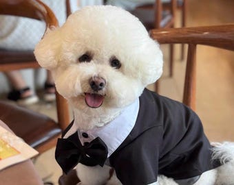 Abito da sposa fatto a mano per cuccioli/gatti / completi per cani