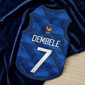 Premium Handmade France Dog Soccer Jersey – 2026 World Cup Apparel, Breathable Football Kit, Newest design, Dog Jerseys image 6