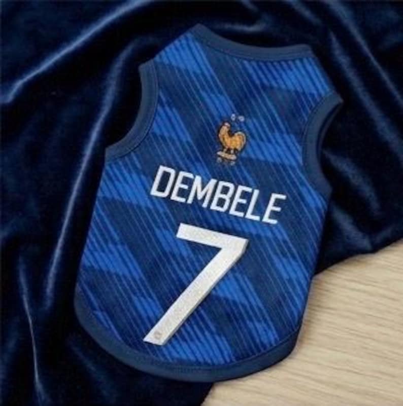 Premium Handmade France Dog Soccer Jersey – 2026 World Cup Apparel, Breathable Football Kit, Newest design, Dog Jerseys image 6