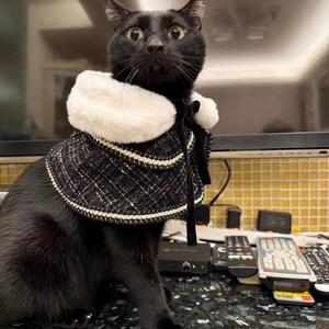 May include: A black cat wearing a black and white tweed cape with a fluffy white collar. The cape is trimmed with a white and gold border and tied with a black ribbon. The cat is looking directly at the camera.