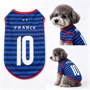 Puede incluir: Camiseta de perro a rayas azules y blancas con la palabra "FRANCE" y el n&uacute;mero "10" en blanco. La camiseta tiene ribetes rojos y dos estrellas doradas. La imagen tambi&eacute;n muestra un perro peque&ntilde;o que lleva la camiseta.
