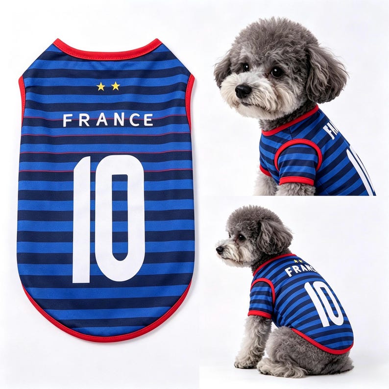 Puede incluir: Camiseta de perro a rayas azules y blancas con la palabra "FRANCE" y el n&uacute;mero "10" en blanco. La camiseta tiene ribetes rojos y dos estrellas doradas. La imagen tambi&eacute;n muestra un perro peque&ntilde;o que lleva la camiseta.