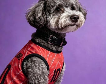 Maglia da calcio per cani fatta a mano dell'Olanda - Abbigliamento per animali domestici per i Mondiali 2026 - Maglia da calcio rossa per cani - Kit per cani in rete traspirante - Regalo per l'Olanda