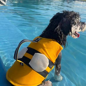 May include: A dog wearing a yellow and black bee-themed life jacket with white fabric wings attached to the back. The life jacket features a reflective grey handle strap and a metal D-ring, designed for buoyancy and visibility in the water.
