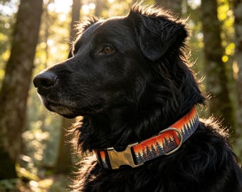 Collare per cani Aurora Forest fatto a mano – Targhetta personalizzabile con nome, resistente e adatto all'avventura.