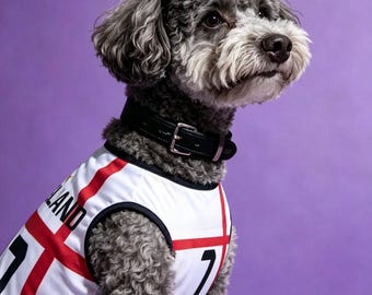 Maglia da calcio per cani dell'Inghilterra fatta a mano – Abbigliamento per animali domestici per la Coppa del Mondo 2026 – Maglia da calcio per cani bianca e blu navy – Kit per cani in rete traspirante – Regalo per il Regno Unito