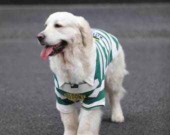 Vintage Green Striped Dog Polo | Preppy Collared Shirt for Large Dogs | Retro Automotive Inspired Pet Tee | Golden Retriever Labrador Summer