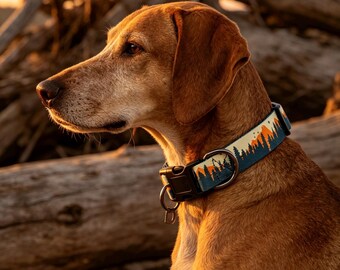 Collare per cani fatto a mano con fibbia incisa – Design Wildflower Mountain – Collare resistente per animali domestici