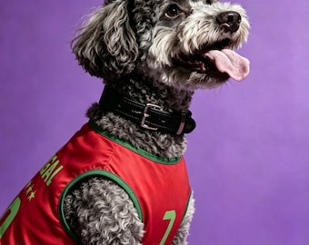 Maglia da calcio per cani del Portogallo – Kit da calcio traspirante per animali domestici, abbigliamento per i Mondiali 2026