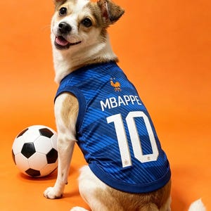 Puede incluir: Un perro pequeño de pelaje marrón y blanco lleva una camiseta azul sin mangas con rayas diagonales. La camiseta presenta un emblema de gallo dorado, el nombre MBAPPE y el número 10 en blanco. Un balón de fútbol blanco y negro está junto al perro.