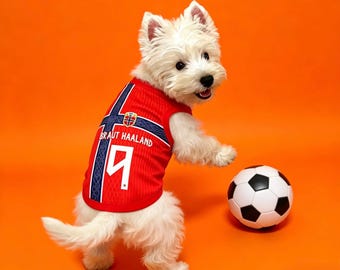Premium handgemaakte Noorse voetbalshirt hondenvoetbal – WK 2026 kleding, ademende voetbaltenue, nieuwste ontwerp, hondenshirts