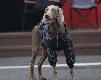 Black Leather Dog Jacket | Faux Leather Biker Coat for Large Dogs | Windproof  Pet Jacket | Weimaraner Golden Retriever Clothes