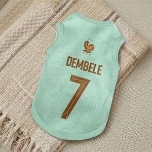 Premium Handmade France Dog Soccer Jersey – 2026 World Cup Apparel, Breathable Football Kit, Newest design, Dog Jerseys image 5