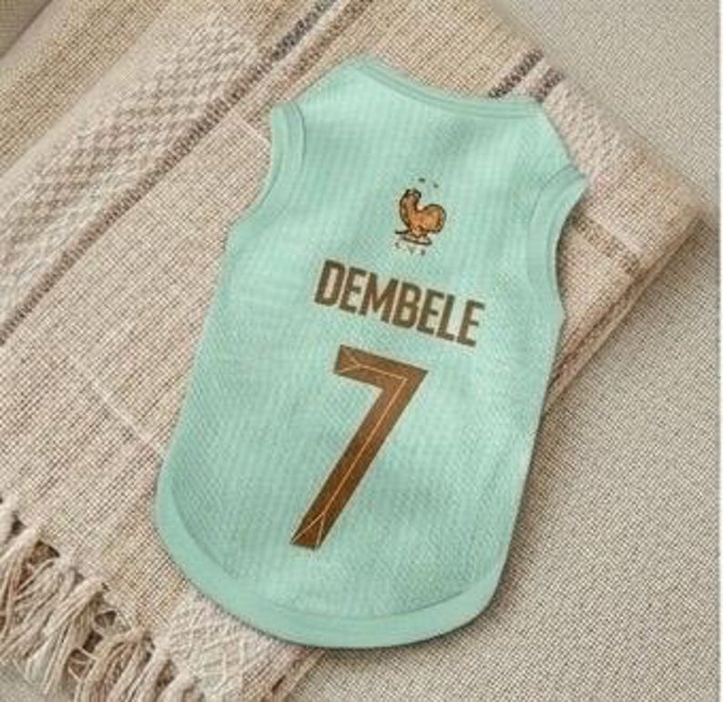 Premium Handmade France Dog Soccer Jersey – 2026 World Cup Apparel, Breathable Football Kit, Newest design, Dog Jerseys image 5