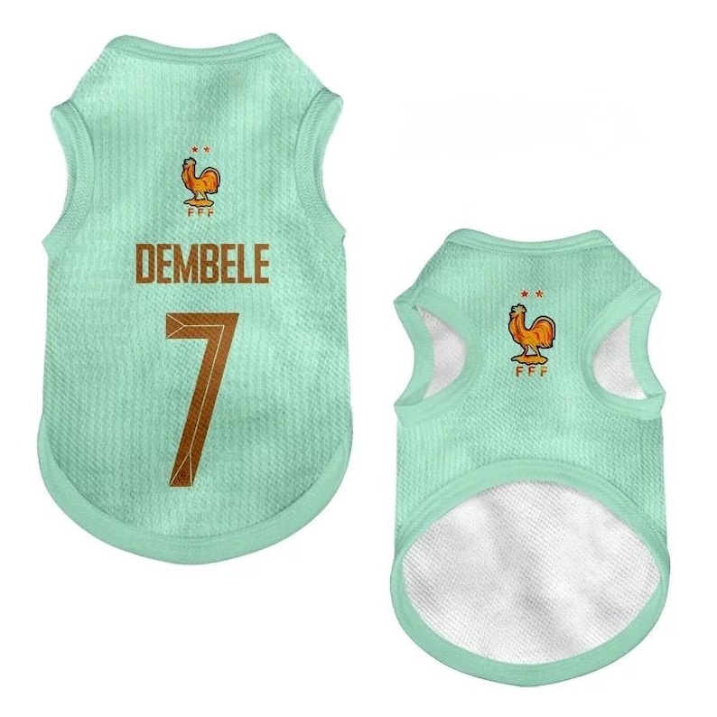 Premium Handmade France Dog Soccer Jersey – 2026 World Cup Apparel, Breathable Football Kit, Newest design, Dog Jerseys image 10