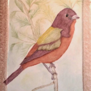 Beautiful Painted Bunting Porcelain