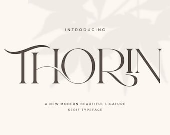 Thorin - Modern Serif Font, branding font, boho font, canva font, procreate font, cricut font, logo font, sans serif, professional font