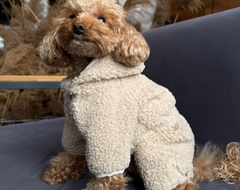 May include: A small, brown dog wearing a beige, hooded dog jumpsuit. The jumpsuit is made of a soft, textured material and has white cuffs. The dog is sitting on a gray surface.